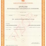 Dyplomy potwierdzające kwalifikacje w zawodzie