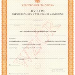 Dyplomy potwierdzające kwalifikacje w zawodzie