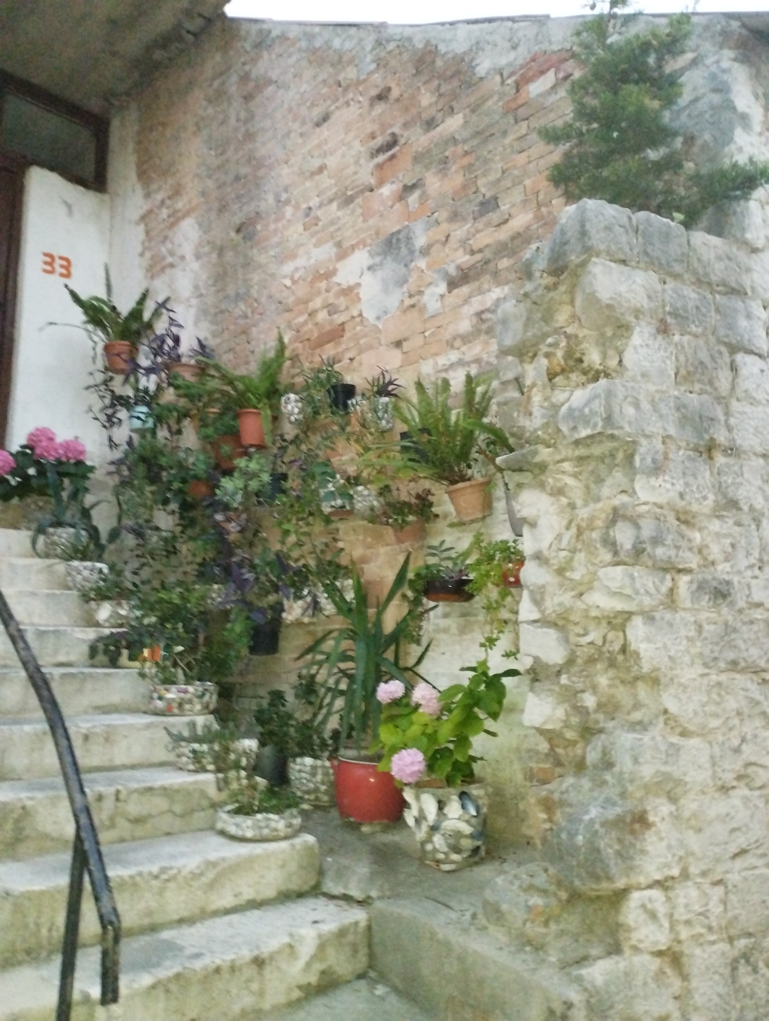 498694654_122139441158747927_1886526293356896536_n