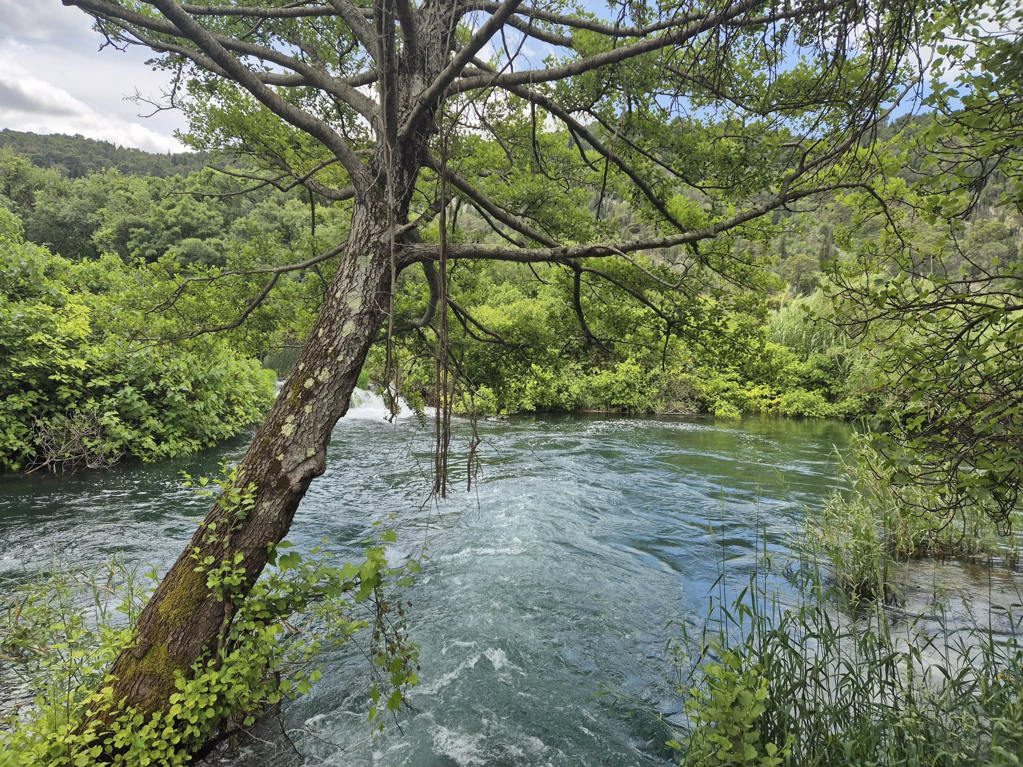 499964415_122134223726747927_4130313220438110313_n