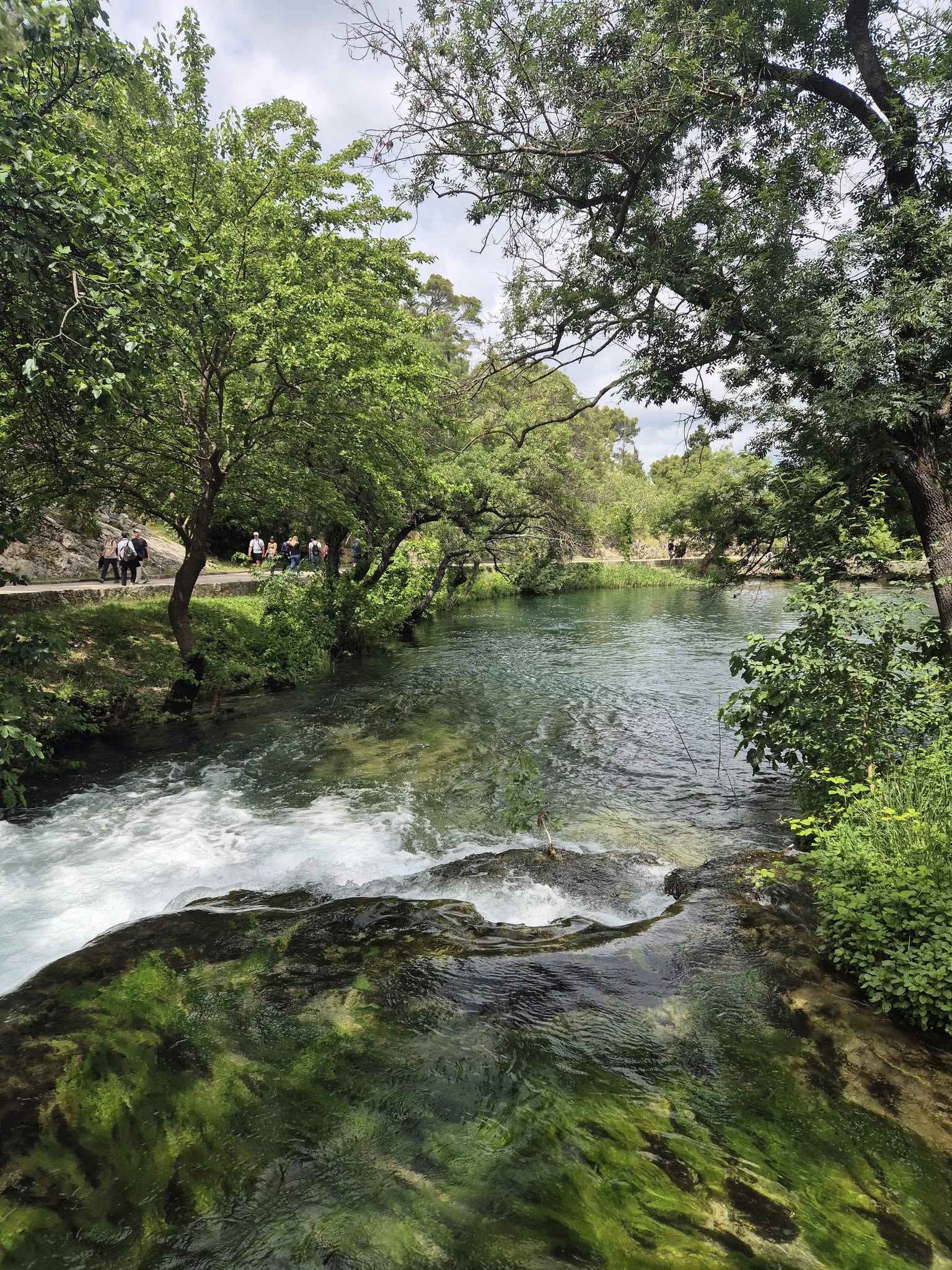 500072255_122134223708747927_3607169055268487337_n