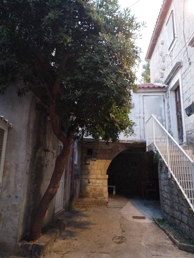 505732806_122139440396747927_4639442189365720349_n