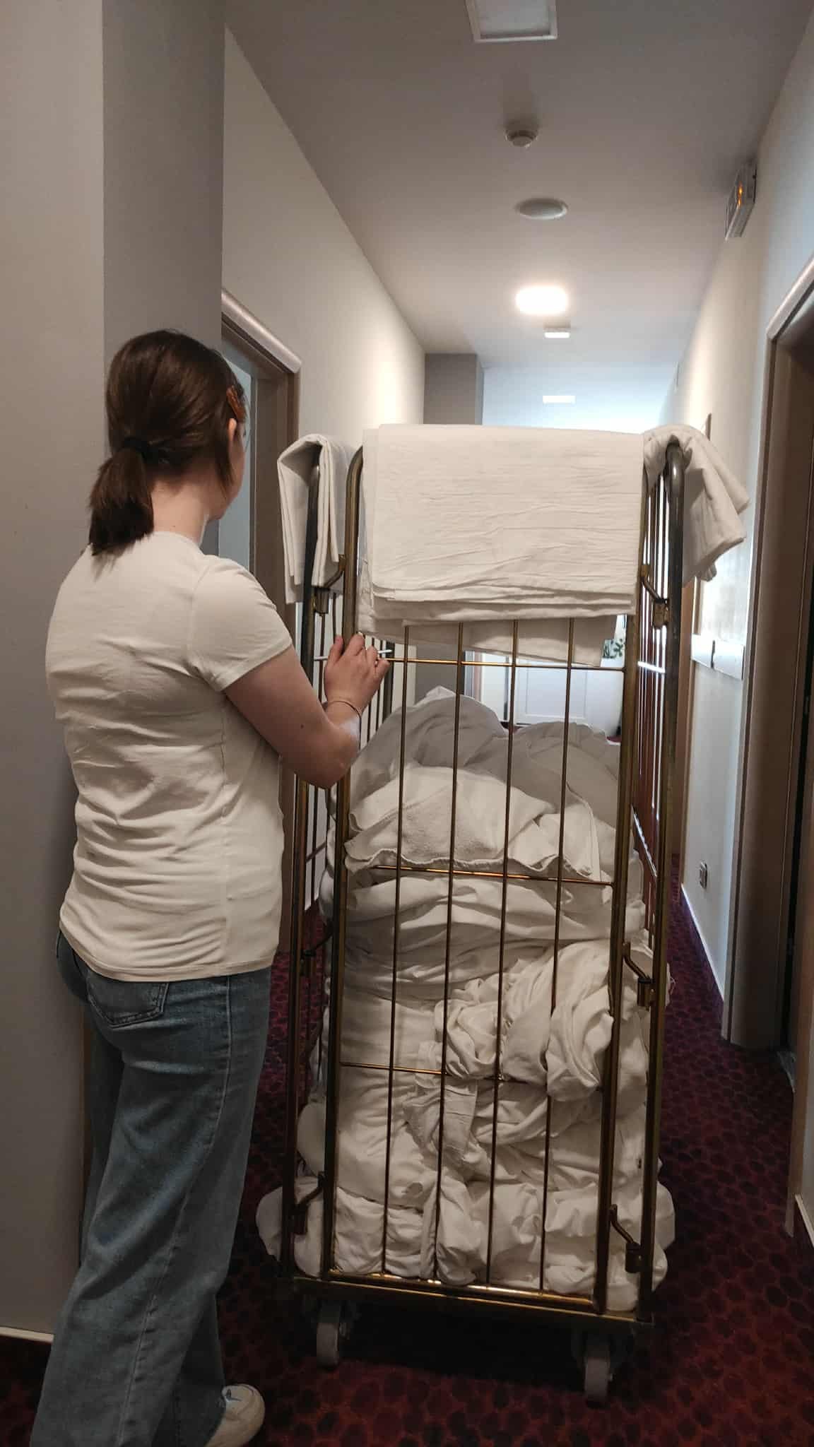 548842114_122156941118747927_3251371732789022688_n