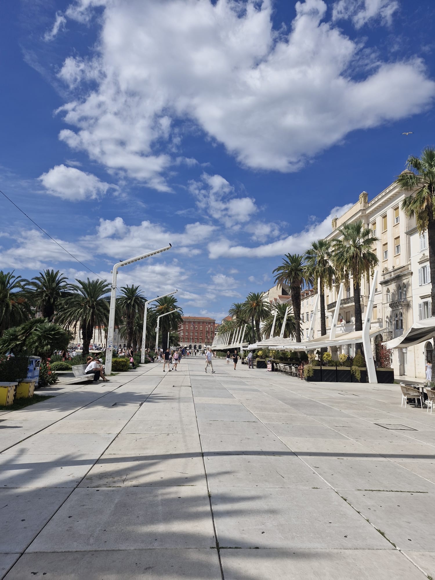 549186288_122156691422747927_8630456983141788448_n