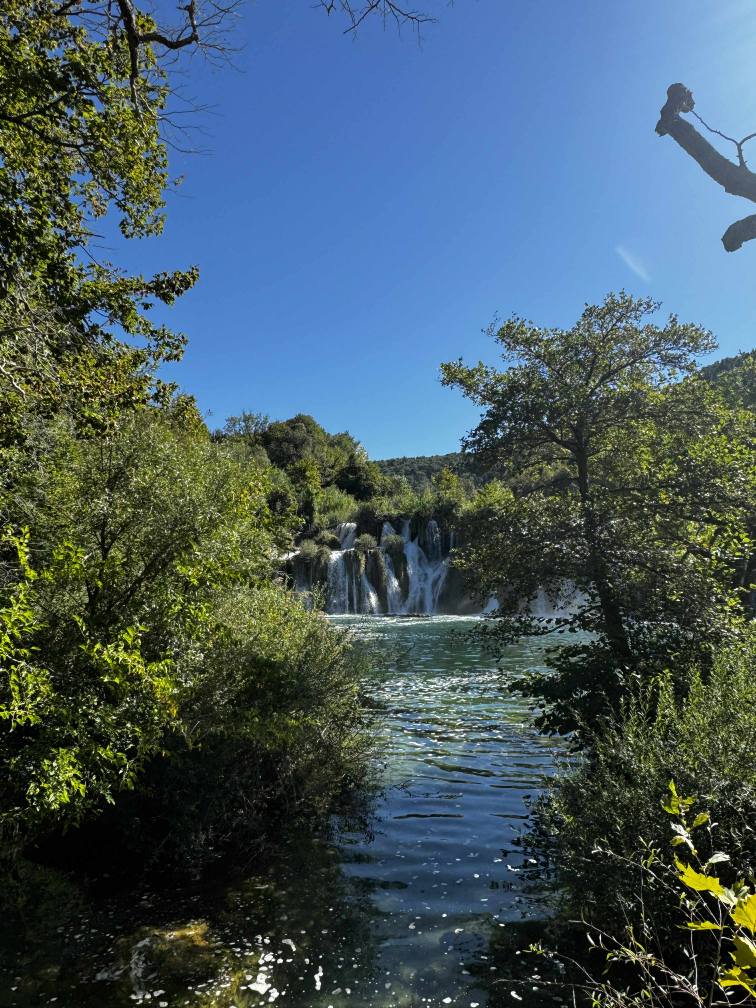 549220872_122157383876747927_2570981422116986086_n