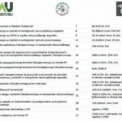 Ubezpieczenie dziecka od nieszczęśliwych wypadków