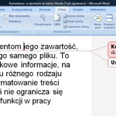 Recenzja dokumentu tekstowego