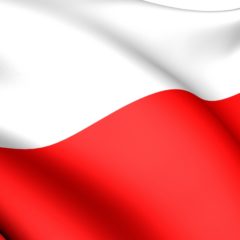 Święto Niepodległości w ZSE