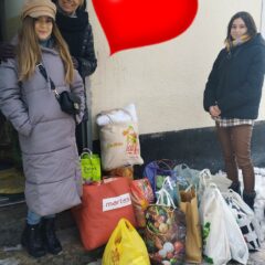 Schronisko dla Bezdomnych Zwierząt w Sosnowcu