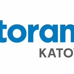Współpraca z Castoramą w Katowicach
